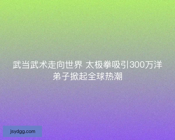 武当武术走向世界 太极拳吸引300万洋弟子掀起全球热潮
